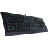 Teclado Razer Cynosa Lite